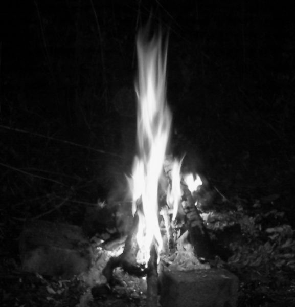 feuer